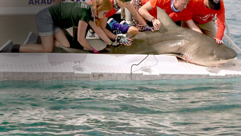 кадр из фильма Mega Hammerhead