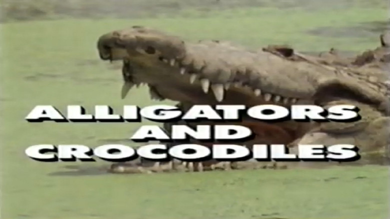 кадр из фильма Predators of the Wild: Crocodiles and Alligators