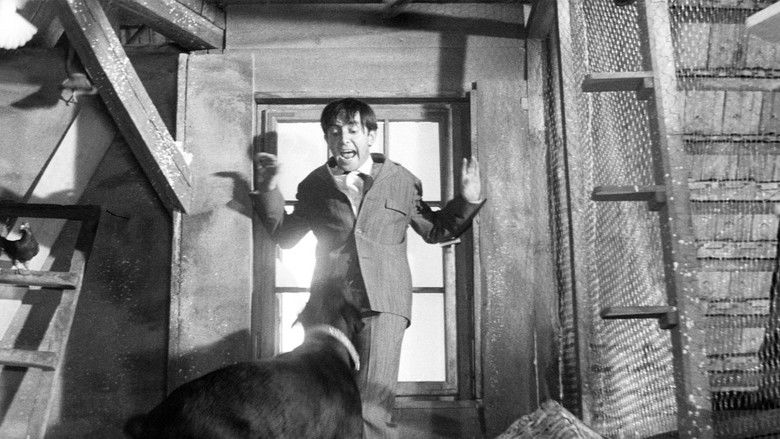 кадр из фильма Индийский шарф