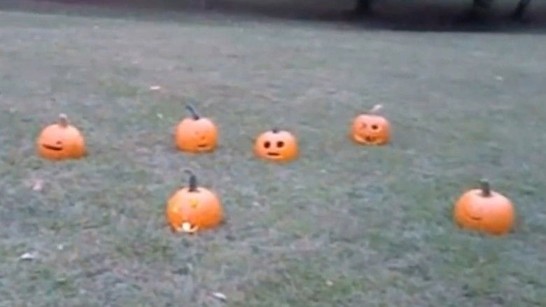 кадр из фильма Pumpkins And Their Dark Properties