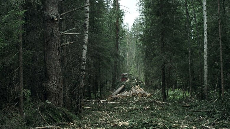 кадр из фильма Лес