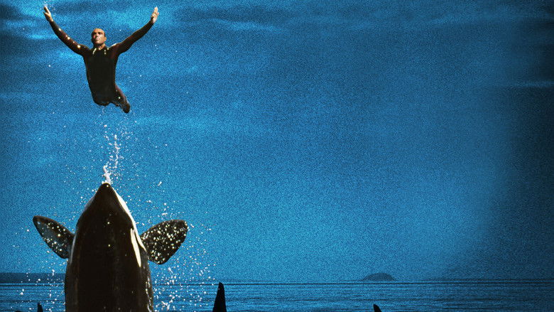 кадр из фильма Чёрный плавник