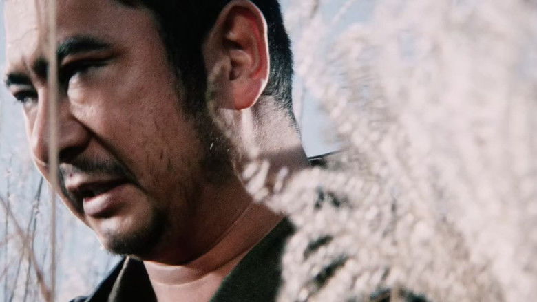 кадр из фильма Затоичи на свободе