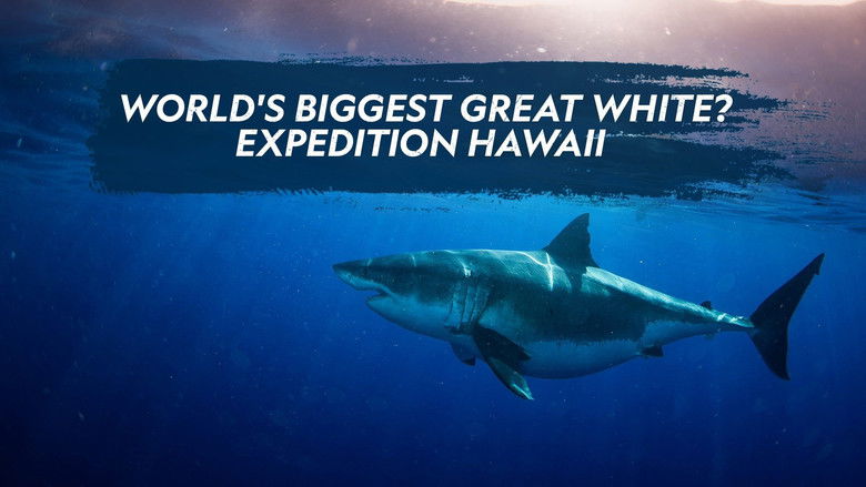 кадр из фильма World's Biggest Great White?