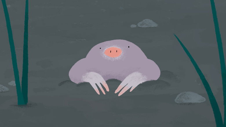 кадр из фильма La colline aux cailloux (Programme)