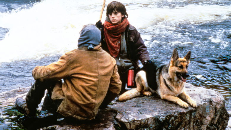 Побег из каньона дикой кошки