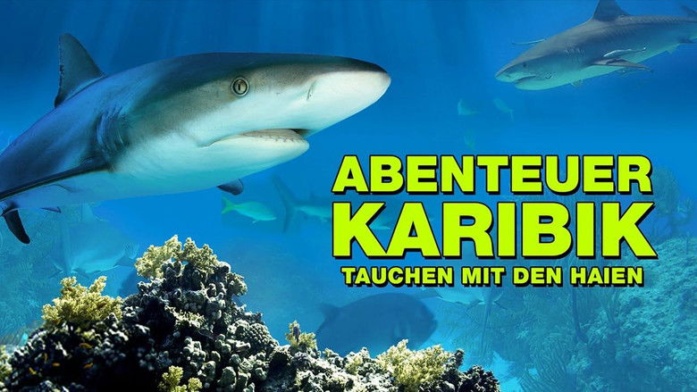 кадр из фильма Abenteuer Karibik 3D: Tauchen Mit Den Haien