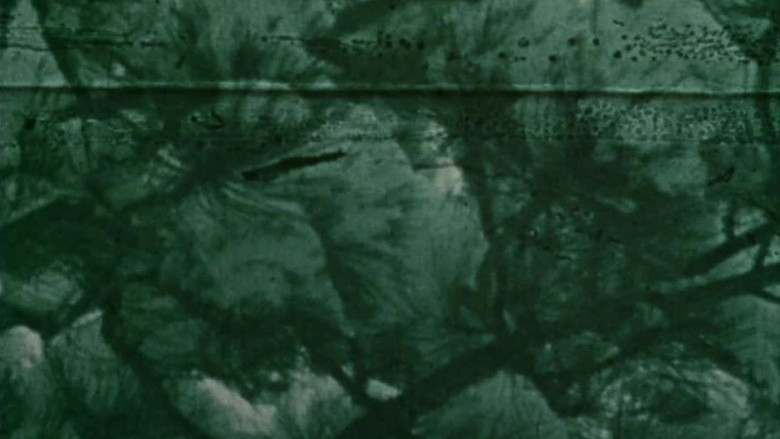 кадр из фильма Dog Star Man: Part III