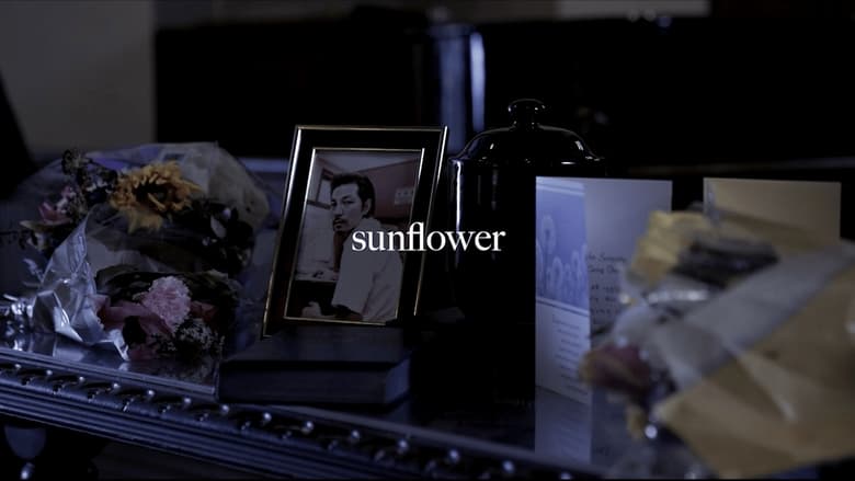 кадр из фильма sunflower