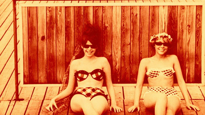 кадр из фильма Маргаритки