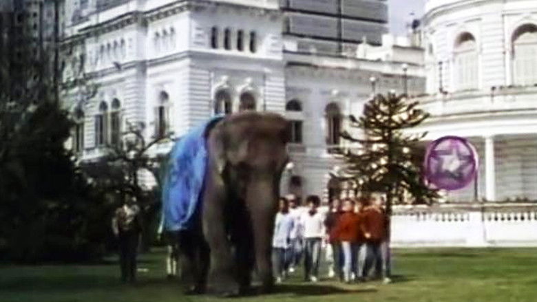 кадр из фильма Un elefante en banda