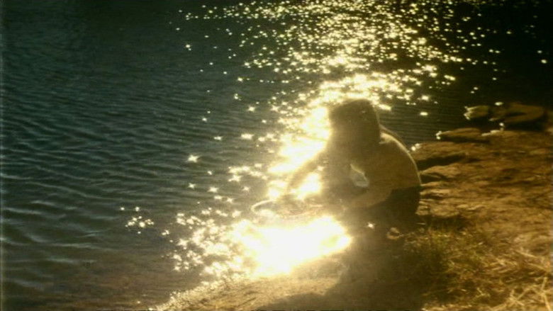 кадр из фильма O Território