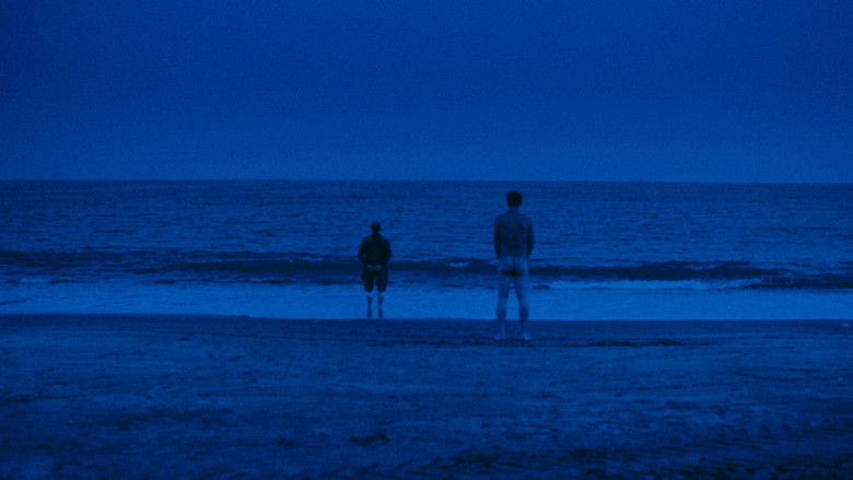 кадр из фильма 走失的小提琴