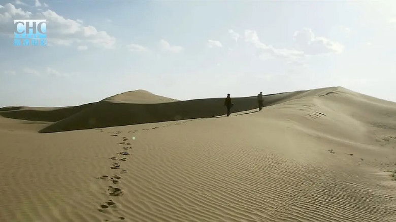 кадр из фильма 野狐梁的女人