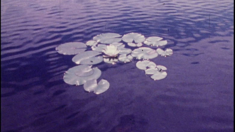 кадр из фильма Isolation