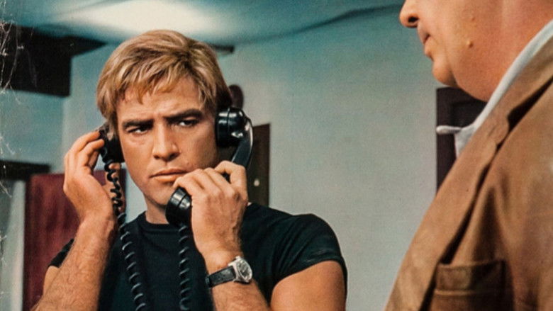 кадр из фильма Ночь следующего дня