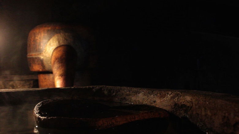 Medronho Todos os Dias