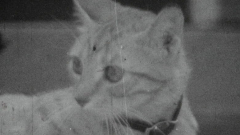 кадр из фильма The Dream