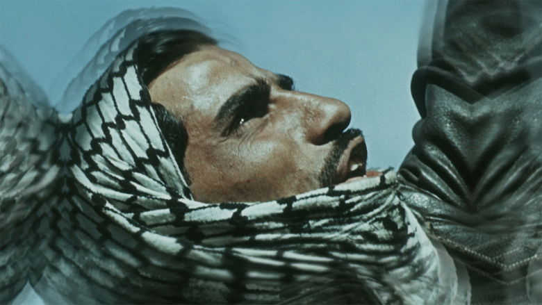 кадр из фильма Unfinished Love Letter