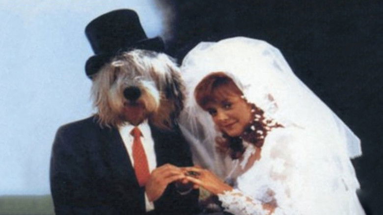 кадр из фильма The Return of the Shaggy Dog