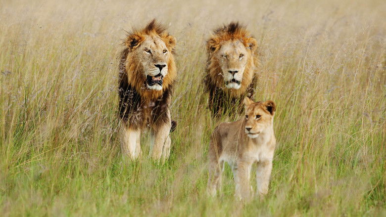 кадр из фильма Wild Botswana