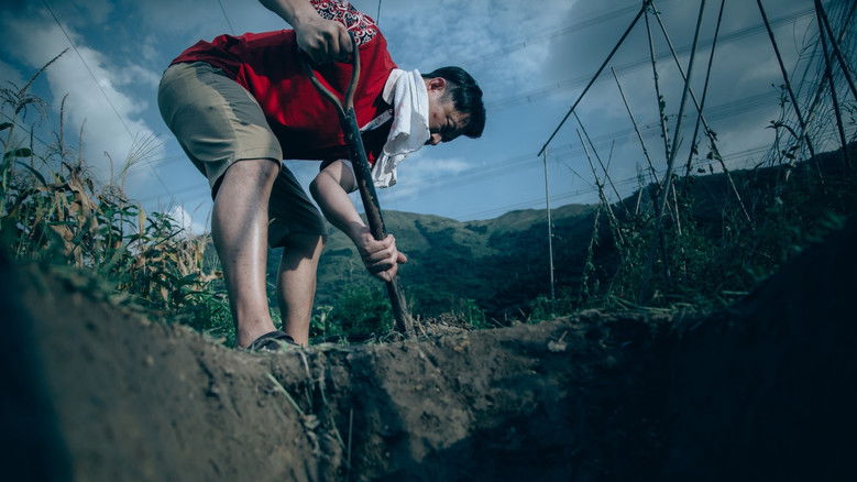 кадр из фильма 蕃茄田