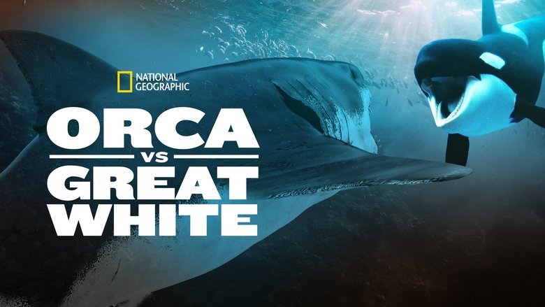 кадр из фильма Orca Vs. Great White