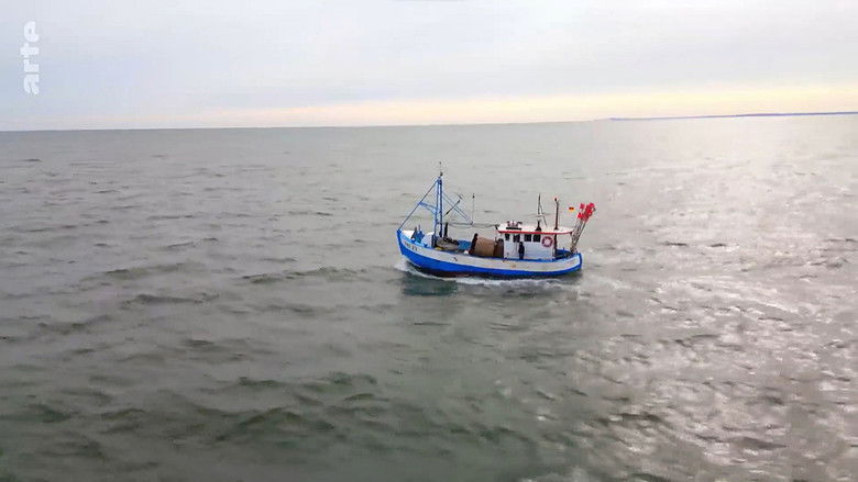 кадр из фильма Rügen - Weiße Felsen, grüne Wälder