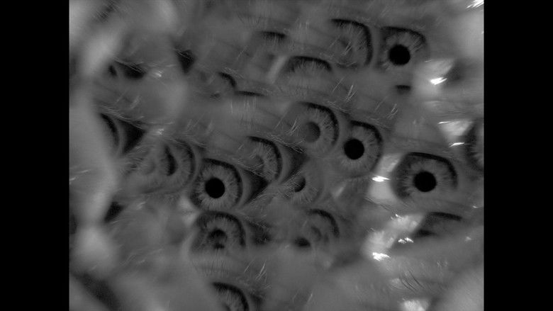 кадр из фильма амфіболос літос