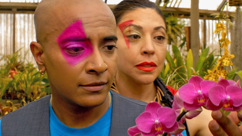 кадр из фильма Transfinite