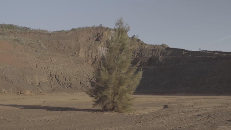 кадр из фильма Mineiros