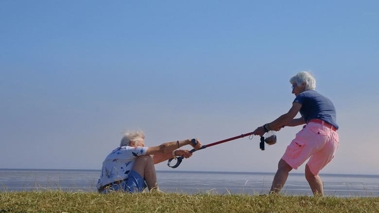 кадр из фильма Liefsteling