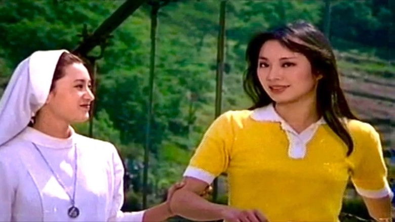 老師，斯卡也答