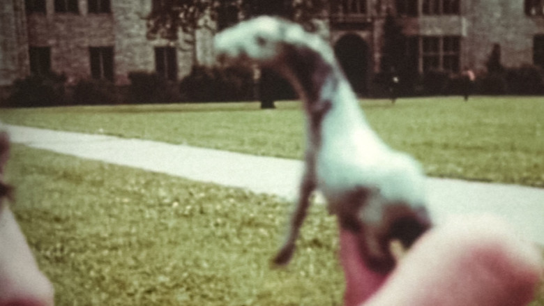 кадр из фильма Charmides