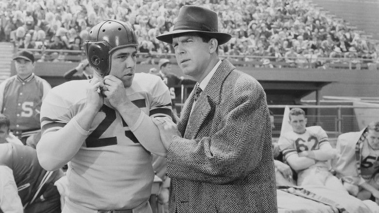 кадр из фильма Father Was a Fullback