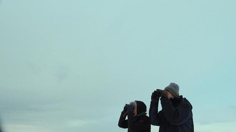 кадр из фильма The Last Observers