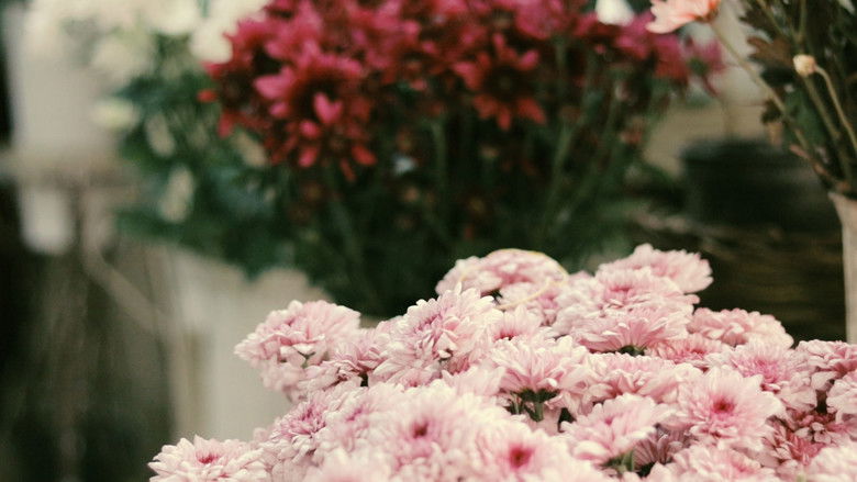 кадр из фильма If We Ever Forgot