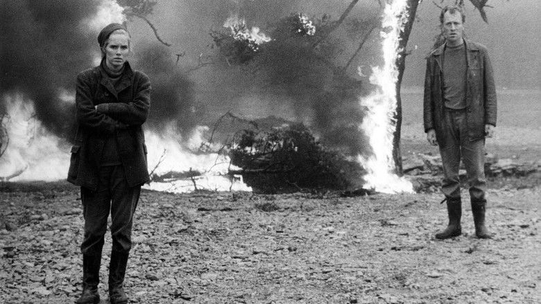 кадр из фильма Стыд