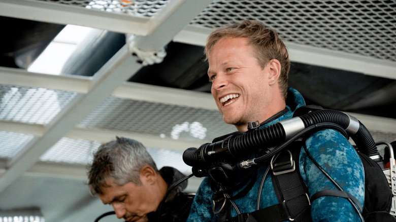 кадр из фильма Hammerhead Sharks Up Close with Bertie Gregory