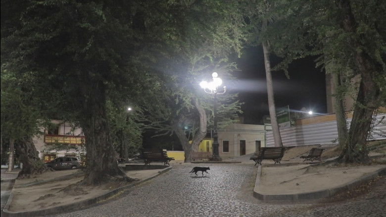 кадр из фильма Bloco do Isolamento