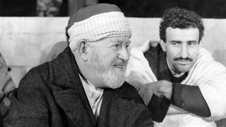 кадр из фильма Hassan Terro