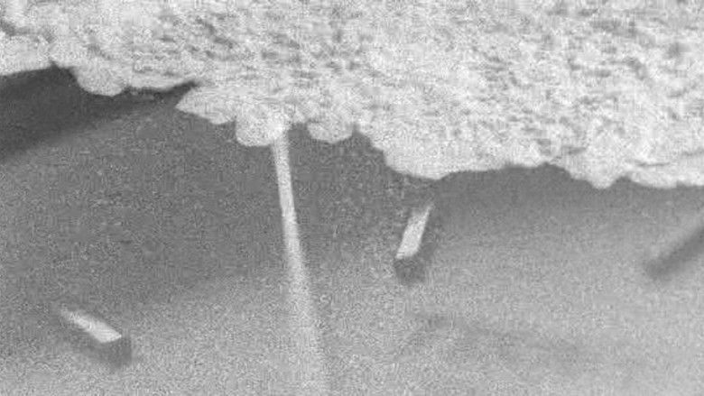 кадр из фильма Hypnosis Display