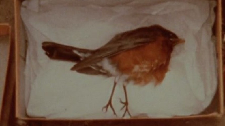 кадр из фильма Burial Path