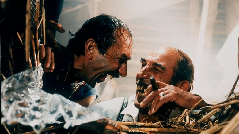 кадр из фильма Чёрная кошка, белый кот