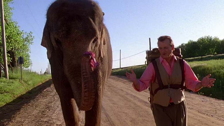 кадр из фильма Больше чем жизнь