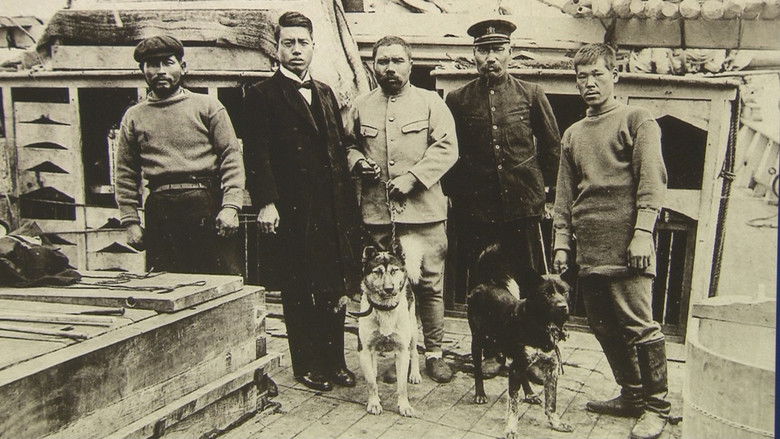 Бегущие по краю. Часть 2: Сирасэ Нобу