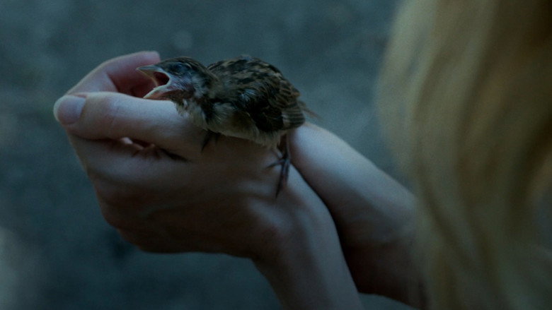 кадр из фильма Magpie: One for Sorrow, Two for Joy