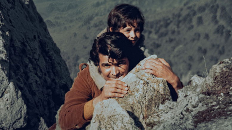 кадр из фильма Evlat