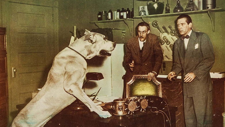 кадр из фильма The Face of Marble