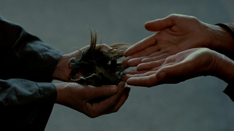 кадр из фильма Усама